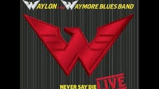 Never Say Die by Waylon and the Waymore Blues Band from Never Say Die Live album [upl. by Lehsar]