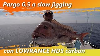 Pargo 65 a Slow jigging con Lowrance HDS carbon [upl. by Yborian206]