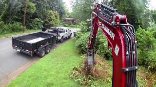 SV40 Clearing Brush and Tree Stump yanmar sv40 [upl. by Emyam586]