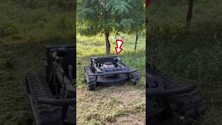 This Machine Clears Bushes in Just Minutes shortsvideo [upl. by Macdonell]