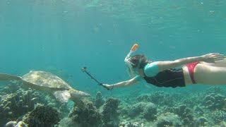 GoPro Snorkel Sipadan [upl. by Ahsiyk]