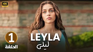 المسلسل التركي مدبلج  ليلى  الحلقة 1 Arabic Dubbed  جودة عالية 4K [upl. by Nwahsel]