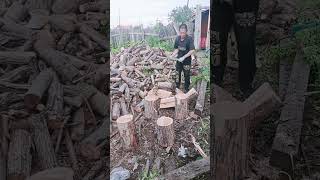 Break firewood survival burningaxe firewood axeforge wood climbing [upl. by Nosmoht490]