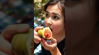 Why Figs Are NonVegetarian The Surprising Truth [upl. by Alvarez]