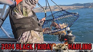 Bodega Bay Dungeness Crabbing  Black Friday 🦀 Hauling dungenesscrab bodegabay [upl. by Yro824]