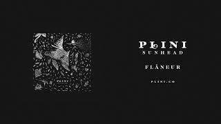 Plini – Flâneur Audio [upl. by Yrrot621]