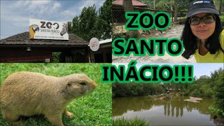 VISITEI A QUINTA DE SANTO INÁCIOquotZOOquot [upl. by Dayiz25]