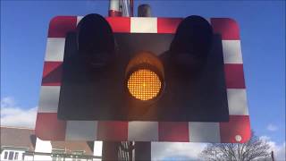 LEVEL CROSSINGS IN THE UK 2017 [upl. by Krell]