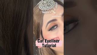 Eyeliner lgana k tarikaytshorts eyelinereyemakeup eyelinertutorialeyelinerhack eyelinerstyles [upl. by Hodess]