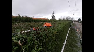 Taille dune haie de cyprès et de thuyaJardiscinepaysagsiteDompierre sur yonvendée [upl. by Esor161]