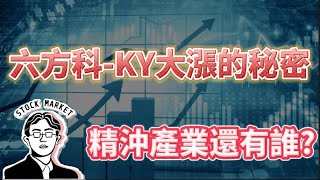 【總編日報產業透視】六方科KY大漲的秘密 精沖產業還有誰 2024911 [upl. by Novek]