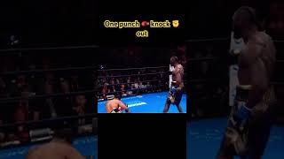 One heavy punch 🥊 k o youtubeshorts shortvideo miketyson boxing boxingtraining boxer [upl. by Ordnaxela682]