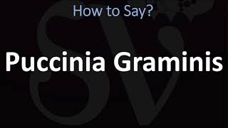 How to Pronounce Puccinia Graminis CORRECTLY [upl. by Atekihc811]