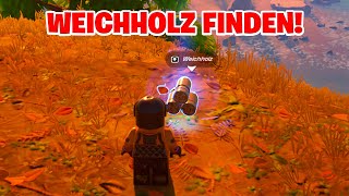 Weichholz finden in Fortnite Lego  Anleitung [upl. by Erelia]