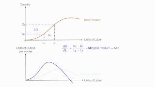 Introduction to Production Introduction Average Product Marginal Product Total Product [upl. by Ihsakat636]