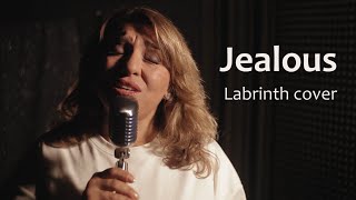 Armine Martirosyan  Jealous Labrinth cover [upl. by Stephani]