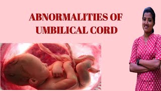 abnormalities of umbilical cord OBG nursingwhiteknight corps Umbilical cord abnormalities [upl. by Acinorahs451]