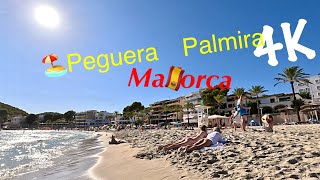 Beach walk🏖️PagueraPeguera Mallorca 2023 August 📷4K60 [upl. by Pricilla]