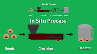 Biodiesel Processing In Situ vs Regular for Oilseeds and Algae Animation [upl. by Lleddaw]