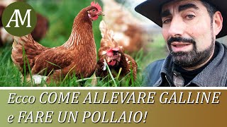 Come allevare le galline e fare un pollaio  Avicoltura e Pollaio [upl. by Kcirted]