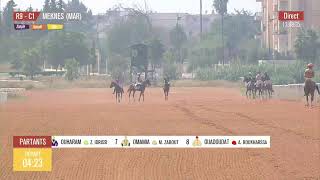 Live Hippodrome « MEKNES »  Courses du «19092024 » [upl. by Ahtamat]