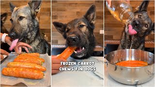 Frozen Carrot Chews For Dogs Recipe🥕🐶 [upl. by Yenattirb]