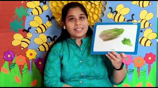 Leafy Vegetables for Kids Nursery Kids Videos [upl. by Grover]