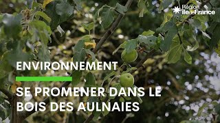 Découvrez les aménagements paysagers du bois des Aulnaies [upl. by Nealy]