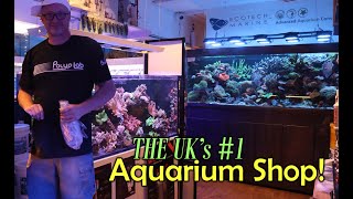 We Tour The UKs Best Saltwater Aquarium Store [upl. by Annael]