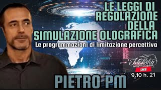 LE LEGGI DELLA SIMULAZIONE OLOGRAFICA  Live con PIETRO PM [upl. by Atirehgram932]