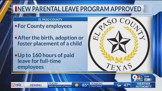 New parental leave program approved [upl. by Lustick]