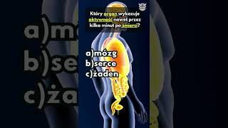 Anatomia człowieka cz5 ciało anatomiaczłowieka mózg dopamina budowa człowieka [upl. by Ennirac]