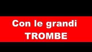 LE GRANDI TROMBE [upl. by Retsel]