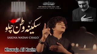 Zindan Khul Gia Hai Sakina Watan Chalo  Noha Khuwan Khuwaja Ali Kazim [upl. by Banna29]