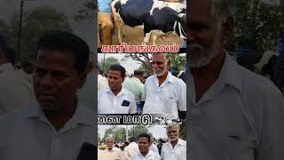 Karimangalam market Dharmapuri district சினை மாடு tn24sakthivlogs [upl. by Owades]