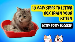 10 Ridiculously Easy Steps to Litter Box Train Your Kitten [upl. by Ahsiym666]