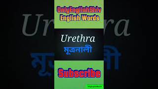 Daily Vocabulary English To Bangla english [upl. by Silvanus]