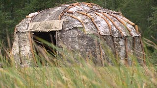 HOW TO MAKE CANE WIGWAMS FOR GROWING BEANS [upl. by Leroi]