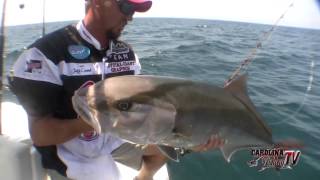 Carolina Fishing TV  Season 34  Amberjack Excitement [upl. by Ahsenauq862]