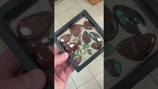 Аммолит  ископаемый перламутр аммонит ammonite геология ammolite fossil paleontology [upl. by Assirrac]