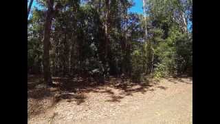 Pademelon Campground Lower Part Chichester State Forest [upl. by Eineeuq]