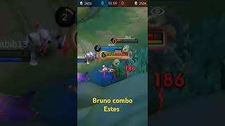 Bruno combo Estes [upl. by Tamarra533]