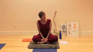 Introduction to the Yoga For Scoliosis Workshop with Elise Browning Miller [upl. by Eliza408]