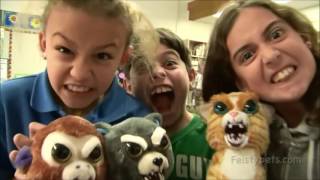 Smyths Toys  Feisty Pets [upl. by Airdnahc401]