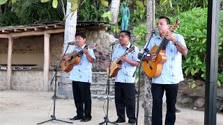 TRIO LOS PEREGRINOS  JACARANDOSA EN VIVO [upl. by Peltz]