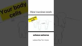 How vaccine works  funnyshorts biology 1million viralshorts [upl. by Marba389]