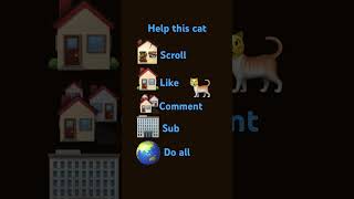 Help this cat❤️❤️❤️❤️❤️❤️❤️ short video [upl. by Llertnad]