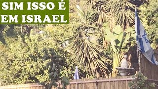 Nazaré Você Sabia que Israel Tem Tanto Verde Realidade Israelense [upl. by Tattan]