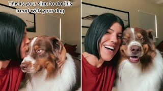 Kiss Your Dog On The Head And Record Their Reaction [upl. by Gram]