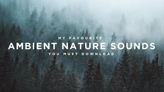 My Favourite AMBIENT NATURE Sound Effects [upl. by Notkcorb]